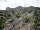 photo thumbnail #13