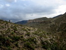 photo thumbnail #14