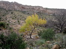 photo thumbnail #9
