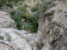 photo thumbnail #12
