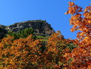 photo thumbnail #12