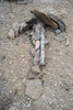 photo thumbnail #12