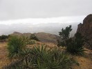 photo thumbnail #15