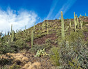 photo thumbnail #8