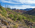 photo thumbnail #11