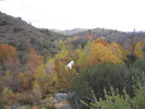 photo thumbnail #1