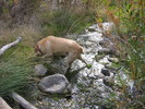 photo thumbnail #3