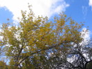 photo thumbnail #5