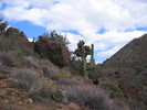 photo thumbnail #9