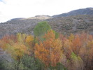 photo thumbnail #10
