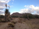 2013-11-16 :1: Cholla Mountain Loop from Brown