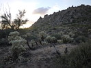 photo thumbnail #7