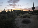 photo thumbnail #10