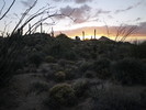 photo thumbnail #11
