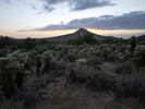 photo thumbnail #13