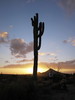 photo thumbnail #8