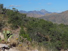 photo thumbnail #5