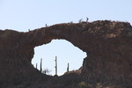 photo thumbnail #4