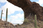 photo thumbnail #8
