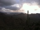photo thumbnail #1