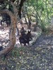 photo thumbnail #11