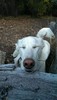 photo thumbnail #14