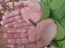 photo thumbnail #6