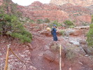 photo thumbnail #11