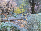 photo thumbnail #6