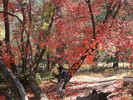 photo thumbnail #9