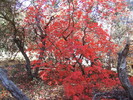 photo thumbnail #12