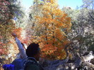 photo thumbnail #13