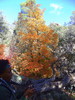 photo thumbnail #14