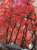 photo thumbnail #15