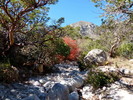 photo thumbnail #6