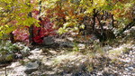 photo thumbnail #11