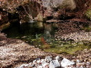 photo thumbnail #15