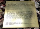 Featured Detail Photo