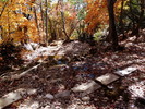Featured Full Photo