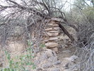 photo thumbnail #5