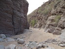 photo thumbnail #14