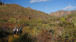 photo thumbnail #13