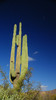 photo thumbnail #15