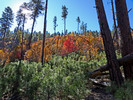 photo thumbnail #15