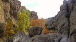 photo thumbnail #4