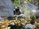 Featured Detail Photo