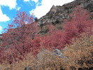 photo thumbnail #5