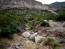 photo thumbnail #3