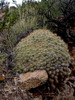 photo thumbnail #12