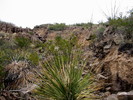 photo thumbnail #13